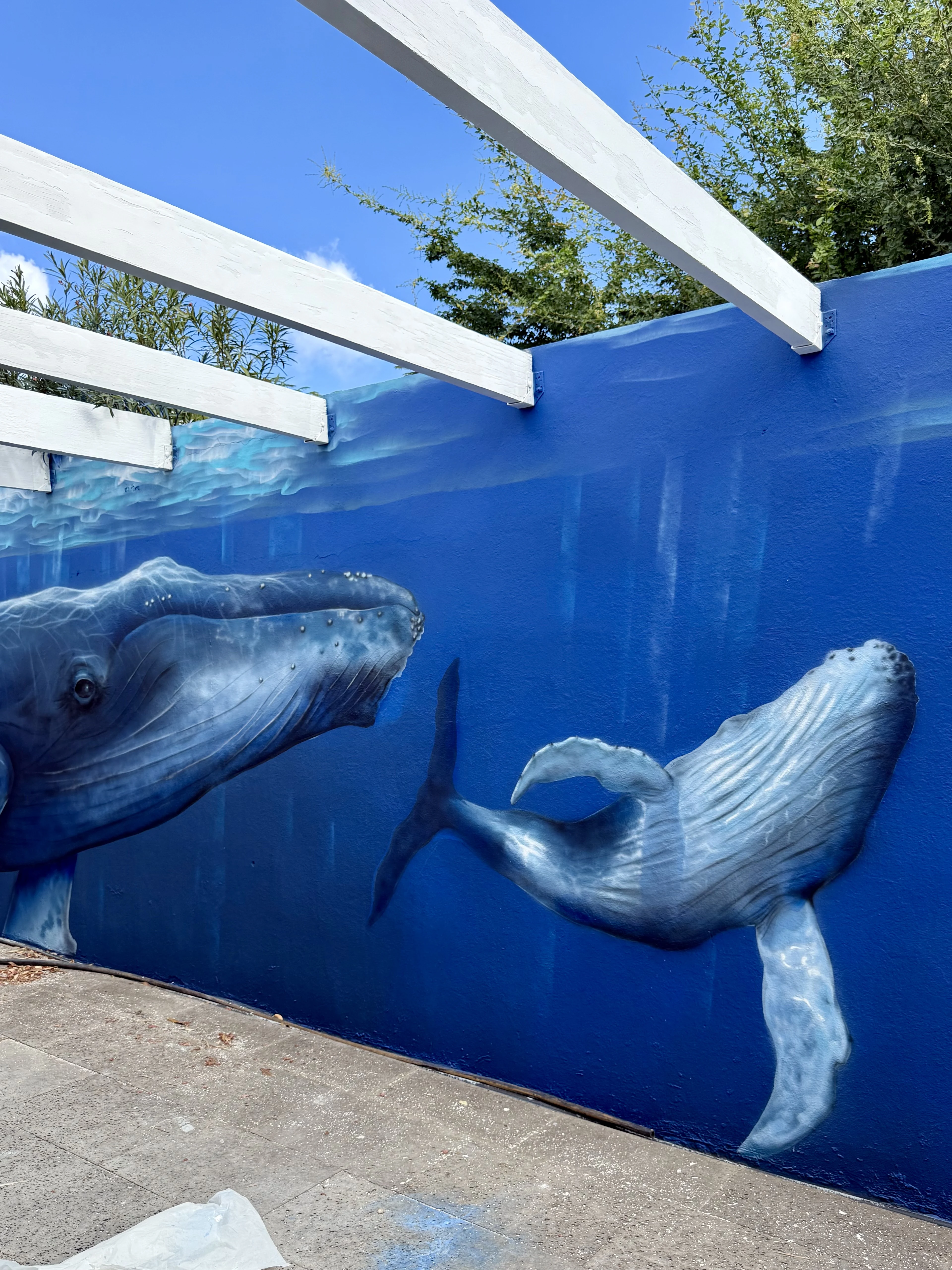 Mur jungle jardin — L'Etang-Sale